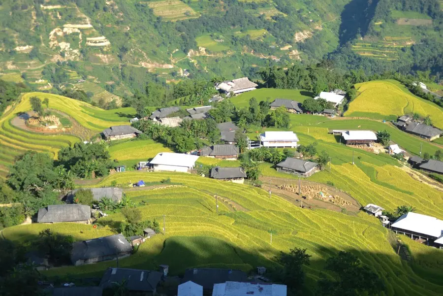 M&ugrave;a v&agrave;ng Ho&agrave;ng Su Ph&igrave; cực l&atilde;ng mạn trong từng bức ảnh của bạn Thu Hương 2