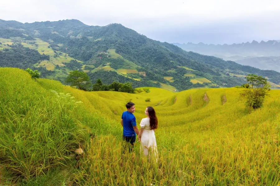 M&ugrave;a v&agrave;ng Khuổi My tựa như tranh vẽ tr&ecirc;n cao nguy&ecirc;n đ&aacute; H&agrave; Giang 2