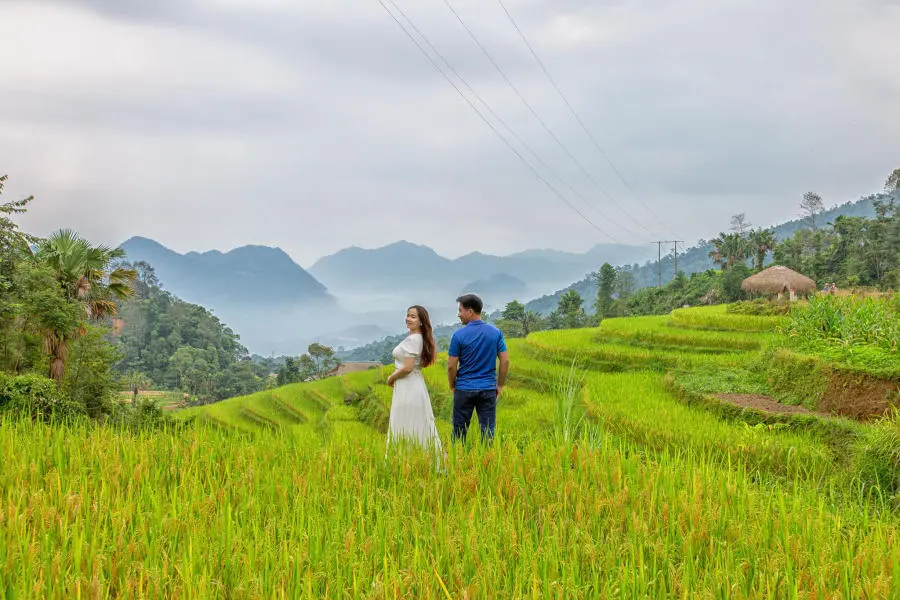 M&ugrave;a v&agrave;ng Khuổi My tựa như tranh vẽ tr&ecirc;n cao nguy&ecirc;n đ&aacute; H&agrave; Giang 5