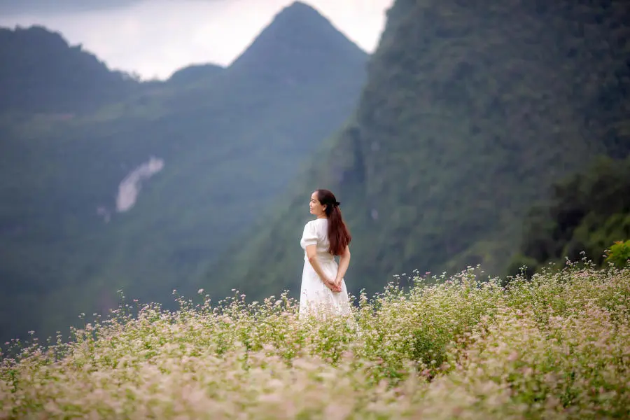 M&ugrave;a v&agrave;ng Khuổi My tựa như tranh vẽ tr&ecirc;n cao nguy&ecirc;n đ&aacute; H&agrave; Giang 8