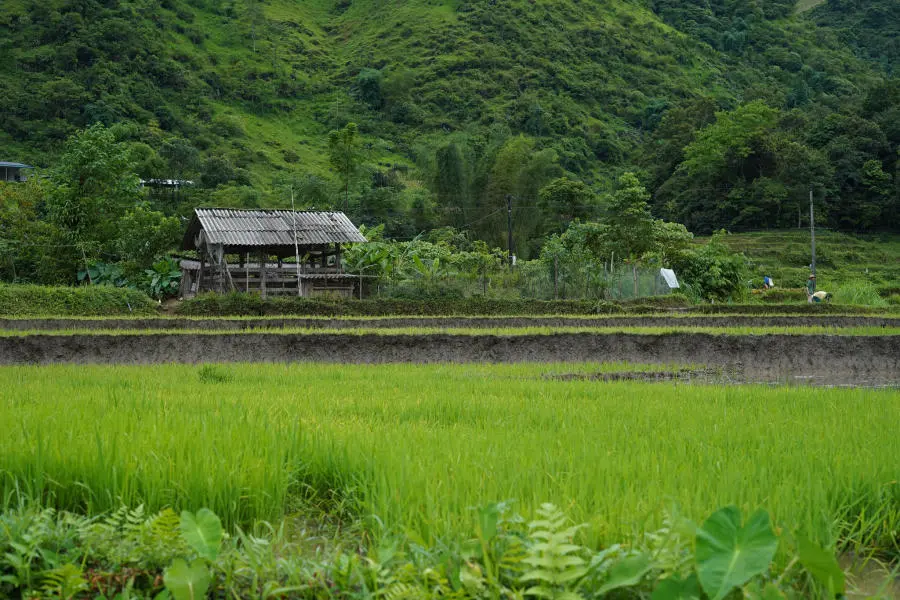 Ngắm nh&igrave;n Bản Du Gi&agrave; thanh b&igrave;nh v&agrave;o m&ugrave;a đẹp nhất 3