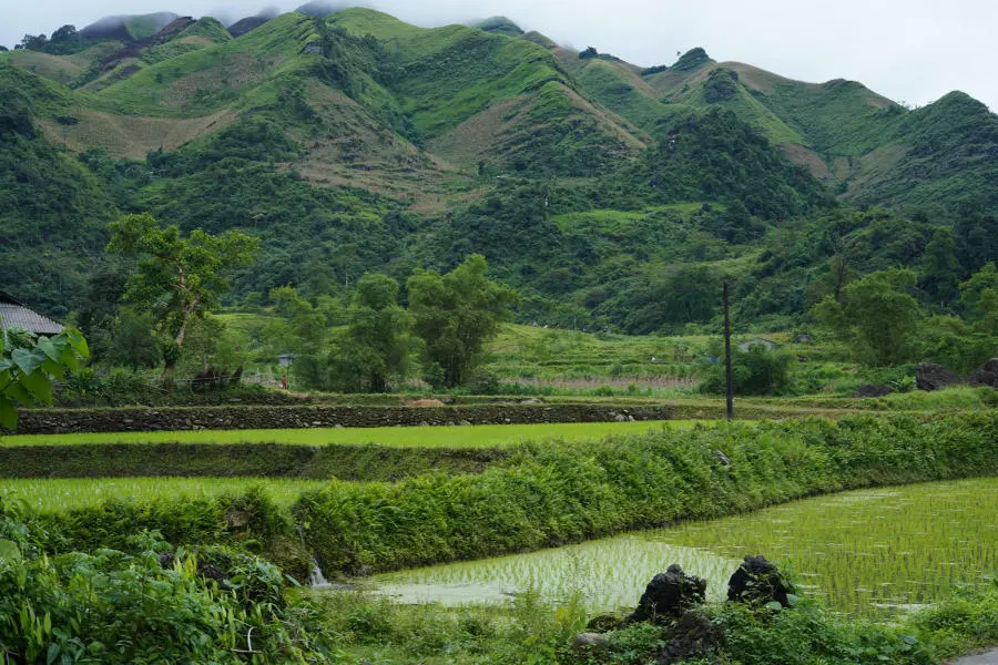 Ngắm nh&igrave;n Bản Du Gi&agrave; thanh b&igrave;nh v&agrave;o m&ugrave;a đẹp nhất 4
