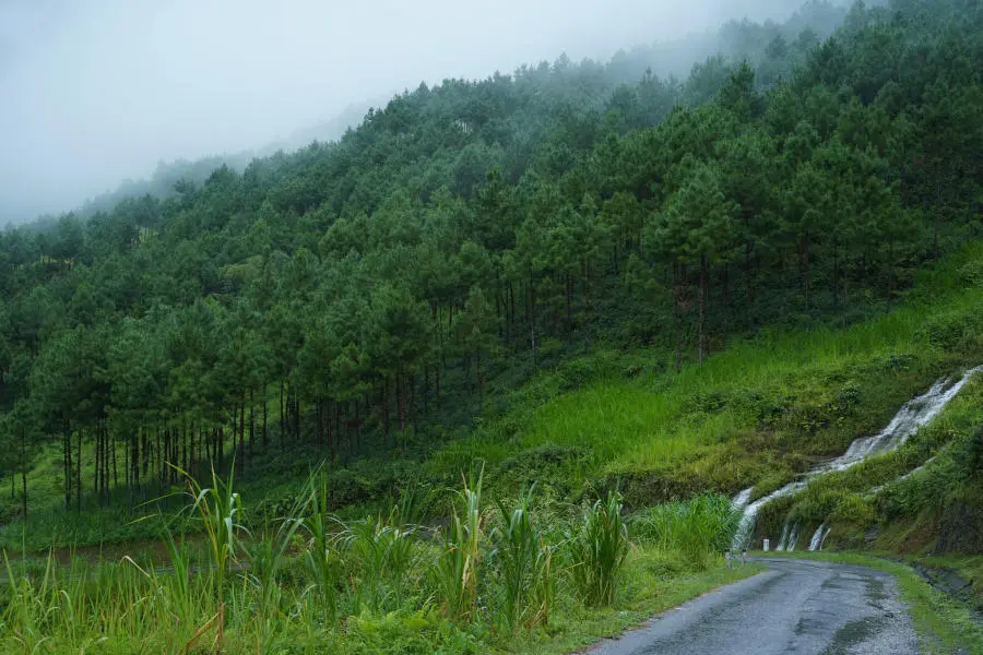 Ngắm nh&igrave;n Bản Du Gi&agrave; thanh b&igrave;nh v&agrave;o m&ugrave;a đẹp nhất 7