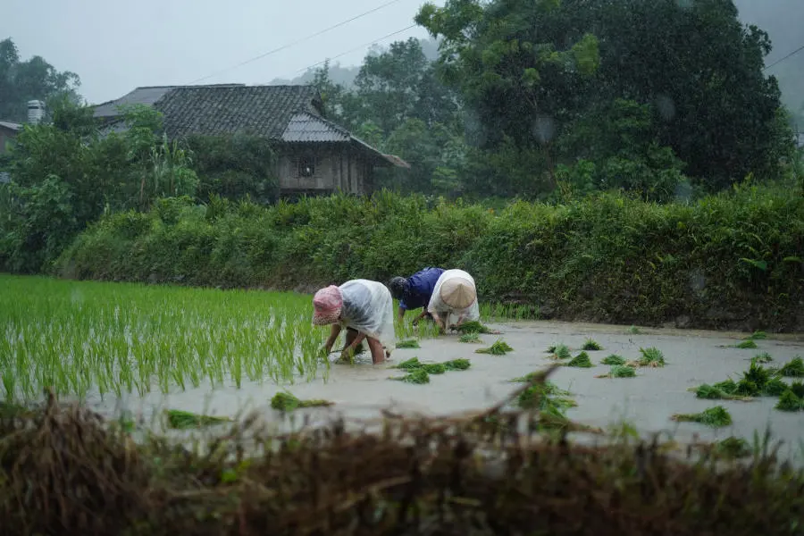 Ngắm nh&igrave;n Bản Du Gi&agrave; thanh b&igrave;nh v&agrave;o m&ugrave;a đẹp nhất 9