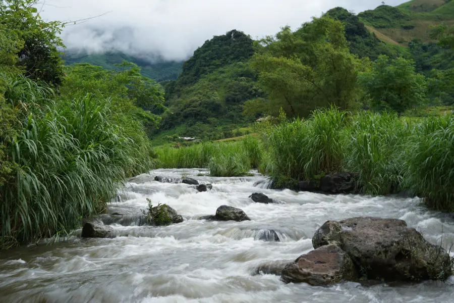 Ngắm nh&igrave;n Bản Du Gi&agrave; thanh b&igrave;nh v&agrave;o m&ugrave;a đẹp nhất 8