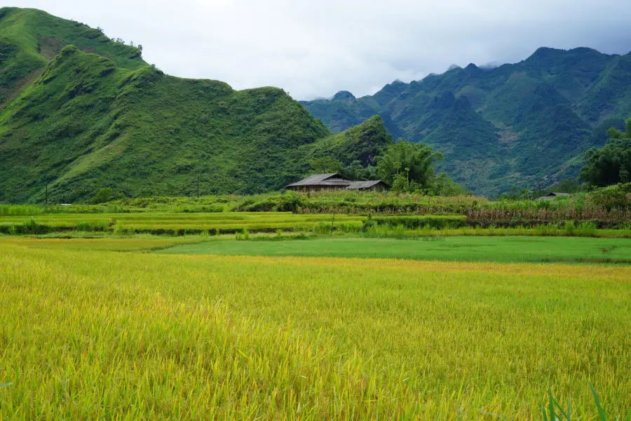 Ngắm nh&igrave;n Bản Du Gi&agrave; thanh b&igrave;nh v&agrave;o m&ugrave;a đẹp nhất 2