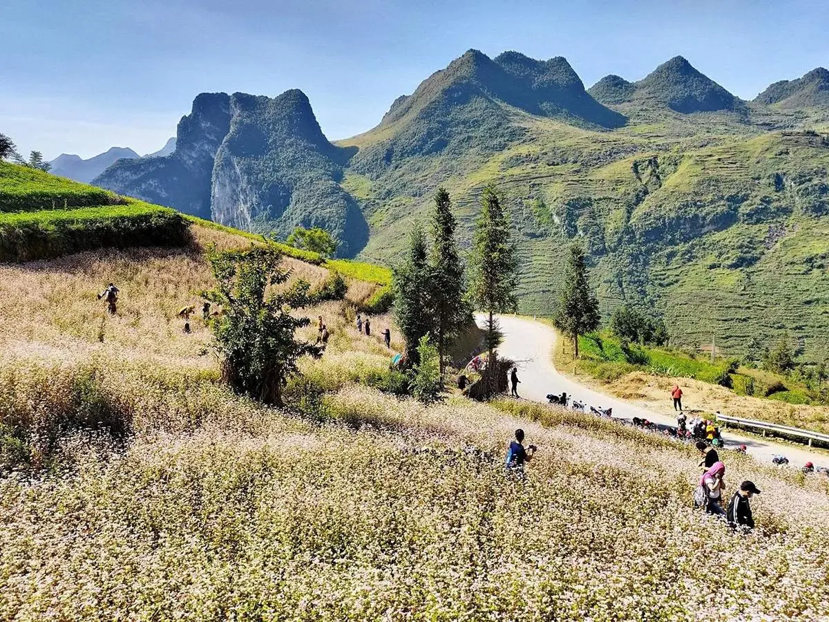 Nghe Anh Phạm review H&agrave; Giang th&aacute;ng 10 c&oacute; g&igrave; th&uacute; vị 5