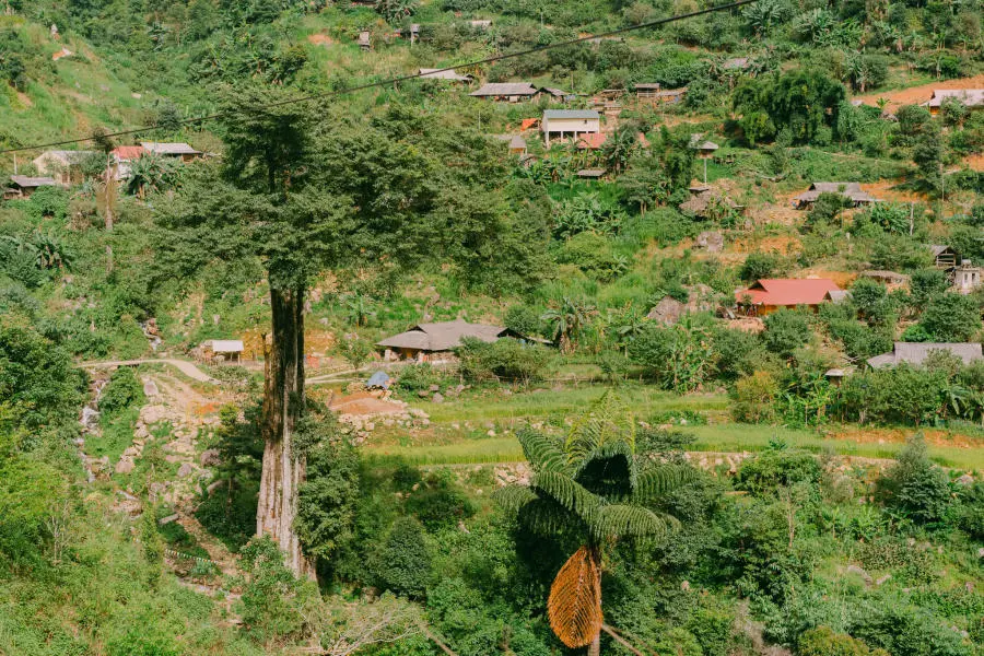 Những ng&agrave;y ở X&iacute;n Mần H&agrave; Giang kh&aacute;m ph&aacute; cao nguy&ecirc;n đ&aacute; qu&aacute; đỗi b&igrave;nh dị 2