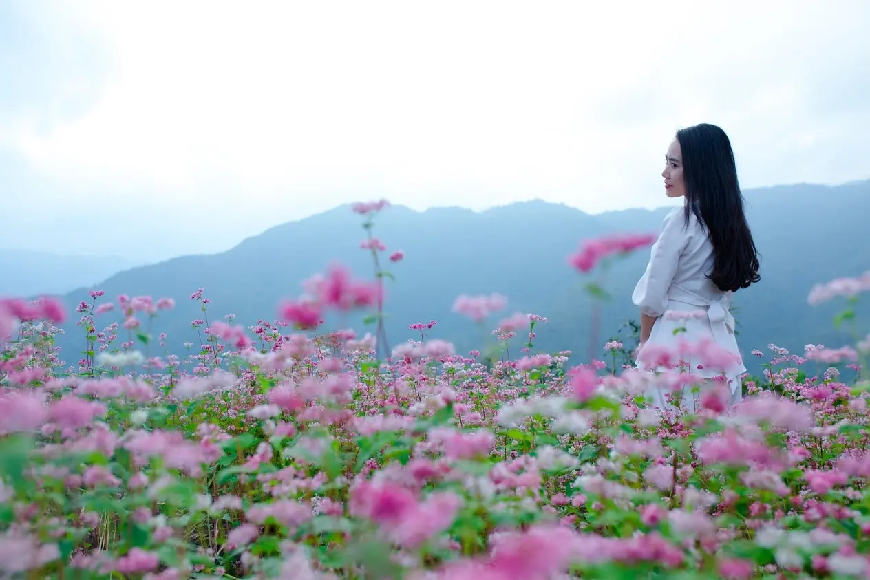 Review chuyến đi H&agrave; Giang si&ecirc;u ngọt ng&agrave;o từ cặp đ&ocirc;i H&agrave;n - Việt 5
