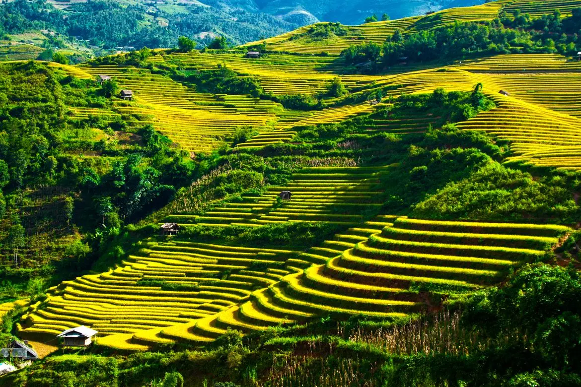 Review H&agrave; Giang c&ugrave;ng &ldquo;Ho&agrave;ng tử ngủ trong rừng&rdquo; 3