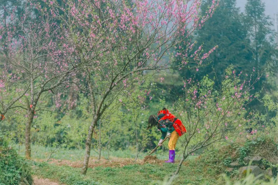 Review Hà Giang, khám phá bức tranh đời thường nơi cao nguyên đá bình yên 4
