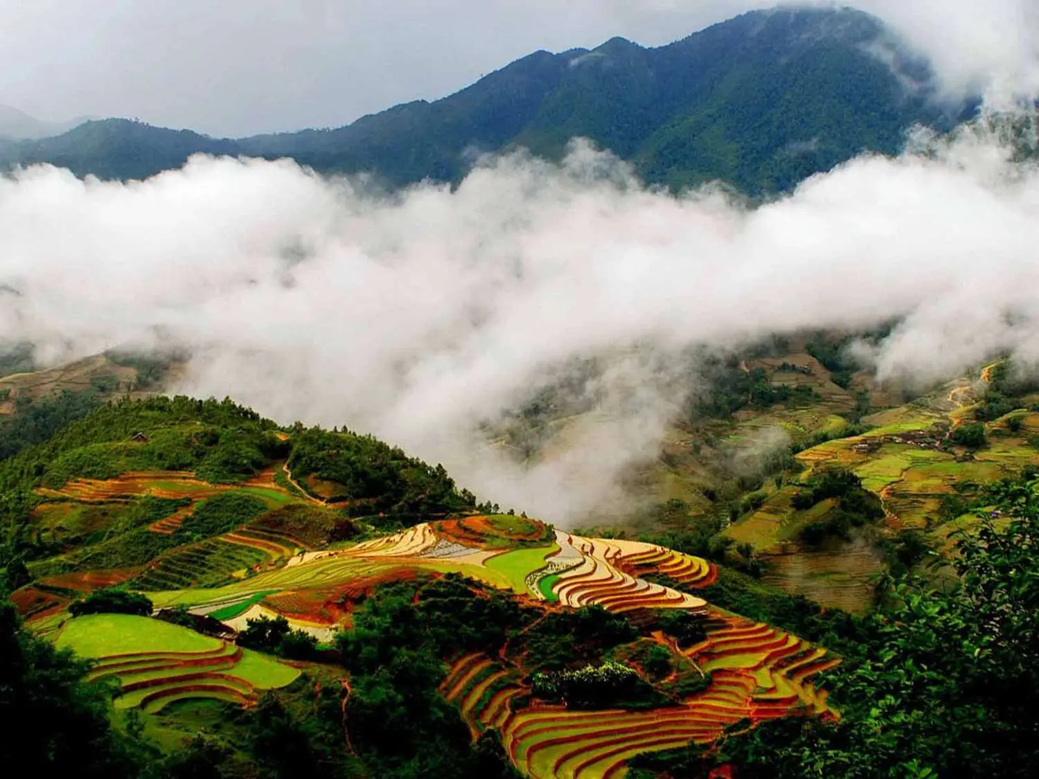 Review H&agrave; Giang sau 3 th&aacute;ng của ch&agrave;ng trai mắc kẹt v&igrave; Covid 9