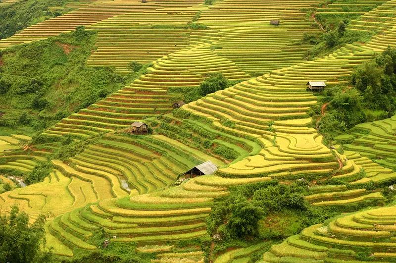 Review H&agrave; Giang - Theo ch&acirc;n cặp đ&ocirc;i ph&aacute;t cẩu lương ầm ầm ở cao nguy&ecirc;n đ&aacute; 7