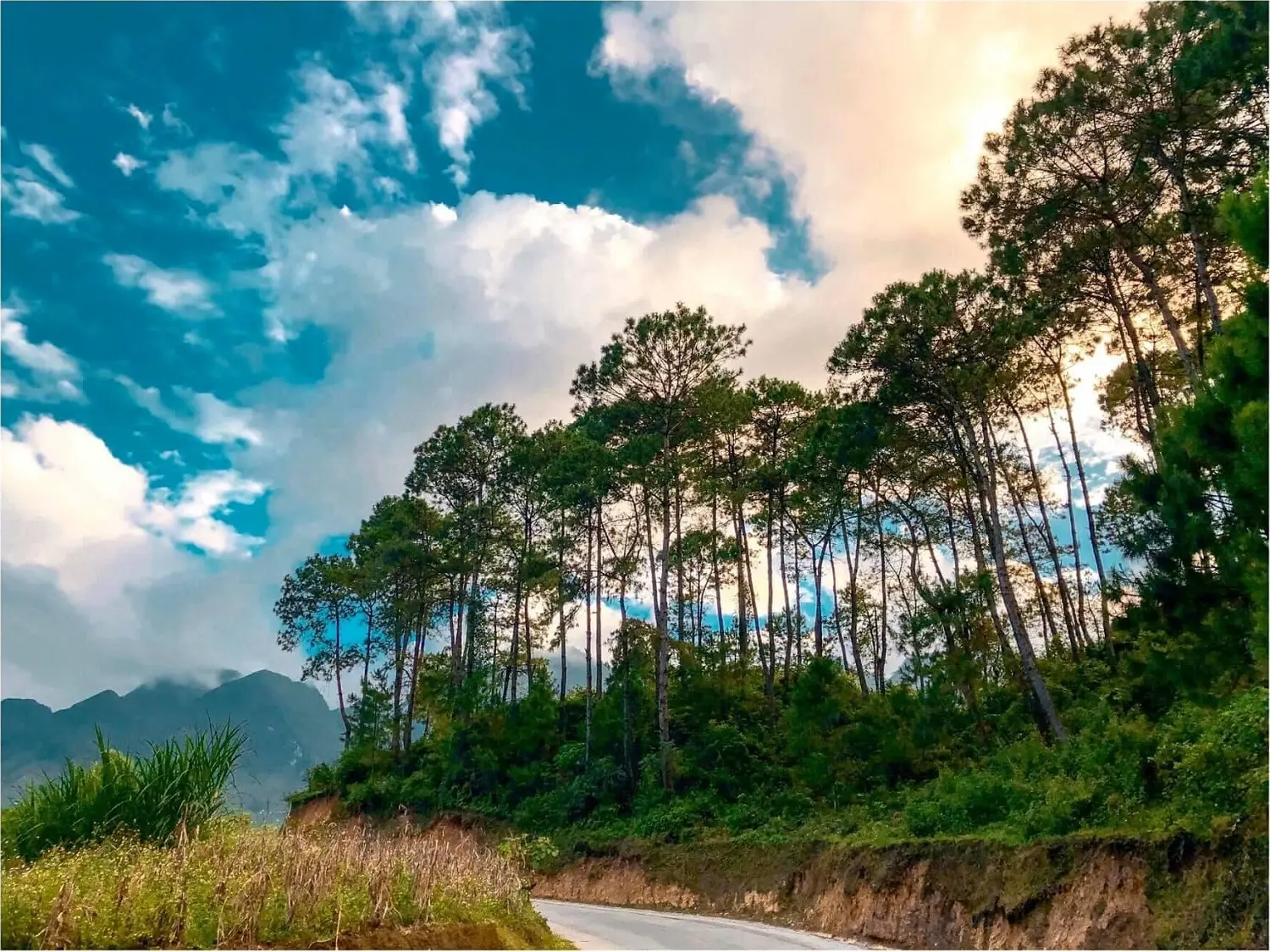 Review H&agrave; Giang &ndash; V&ugrave;ng đất d&agrave;nh cho những ai muốn sống v&agrave; trải nghiệm 12