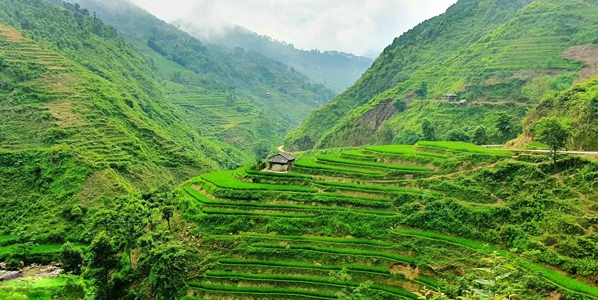 Review m&ugrave;a thu ở Ho&agrave;ng Su Ph&igrave; với vẻ đẹp như ti&ecirc;n cảnh 9