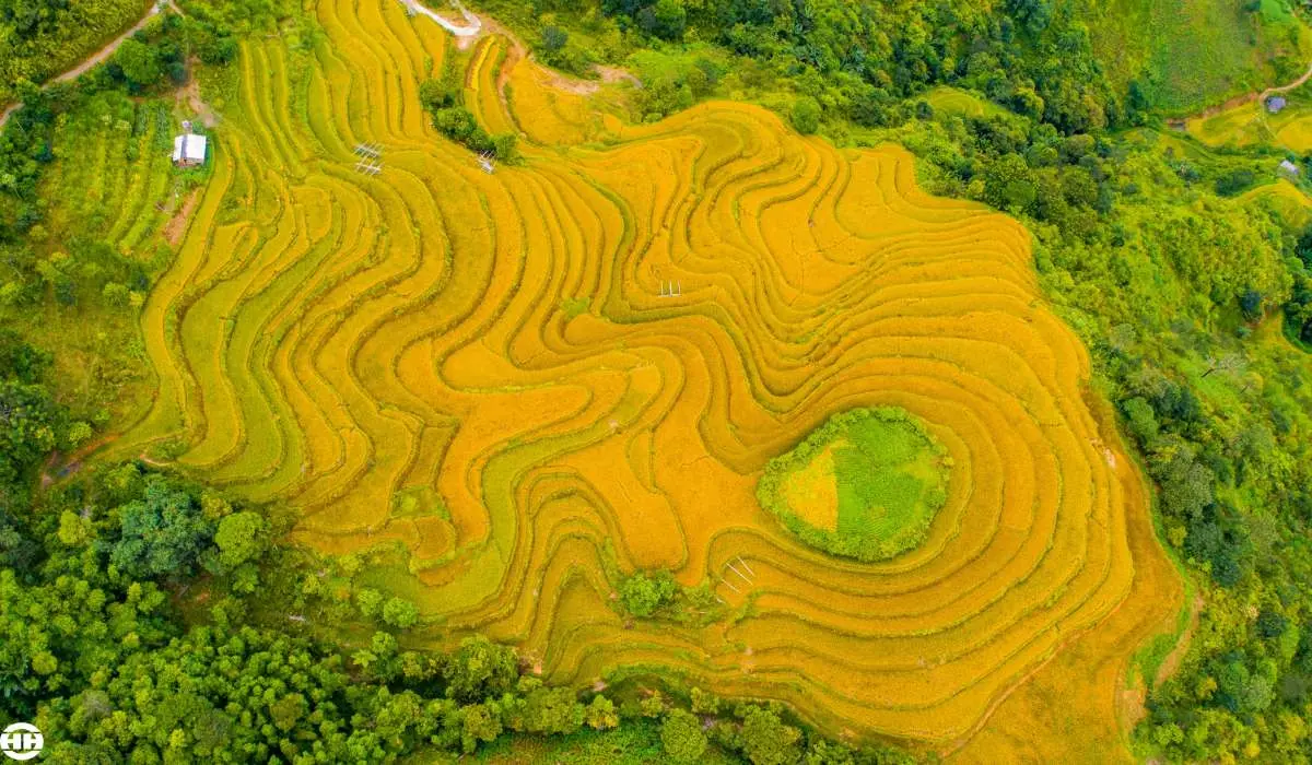 Review m&ugrave;a thu ở Ho&agrave;ng Su Ph&igrave; với vẻ đẹp như ti&ecirc;n cảnh 6