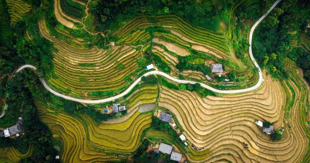 Review m&ugrave;a thu ở Ho&agrave;ng Su Ph&igrave; với vẻ đẹp như ti&ecirc;n cảnh 10