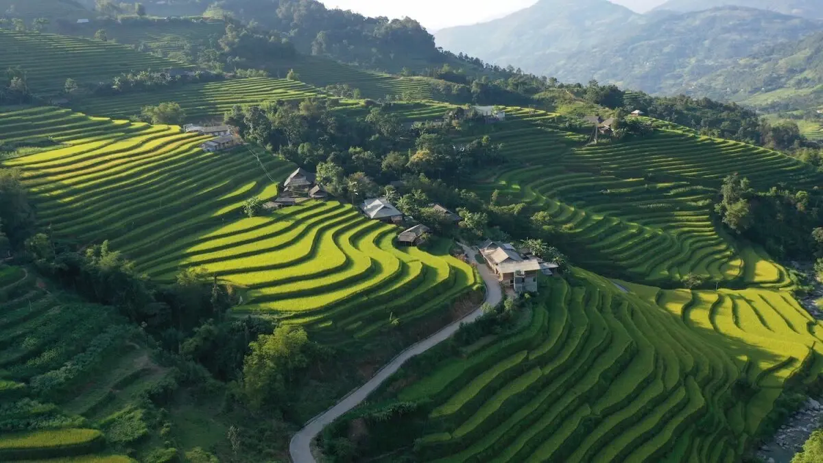 Review m&ugrave;a v&agrave;ng H&agrave; Giang đẹp ngỡ ng&agrave;ng tựa tranh vẽ 2