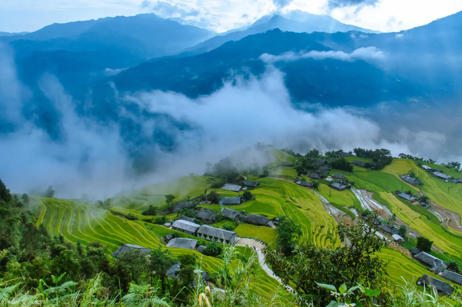 Review m&ugrave;a v&agrave;ng H&agrave; Giang đẹp ngỡ ng&agrave;ng tựa tranh vẽ 3