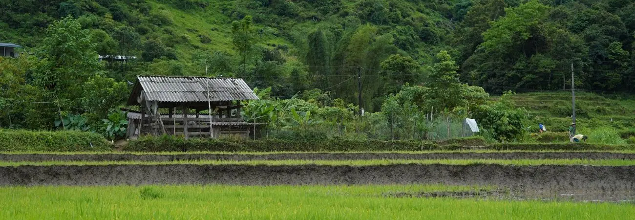 Ngắm nhìn Bản Du Già thanh bình vào mùa đẹp nhất