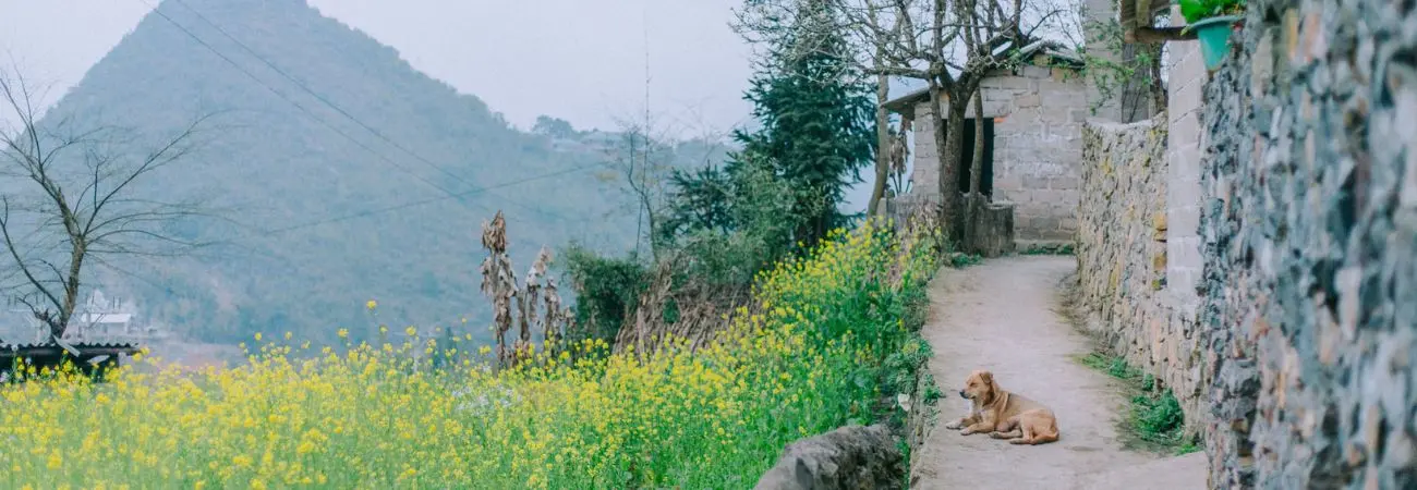 Review Hà Giang, khám phá bức tranh đời thường nơi cao nguyên đá bình yên