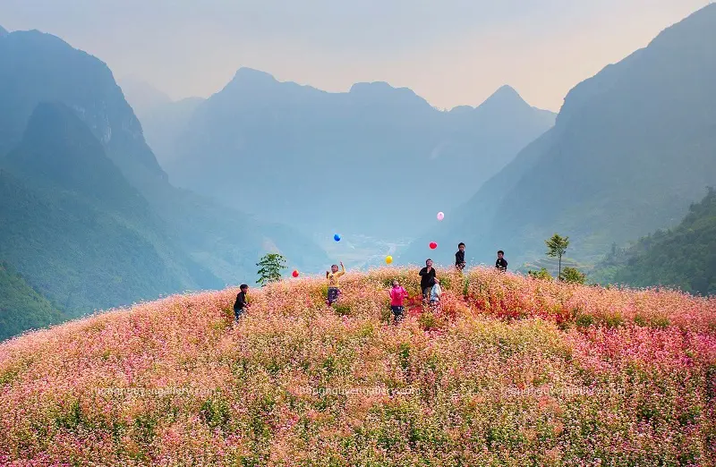 Review Hà Giang một ngày đẹp trời cùng với cô nàng Kiều Trang