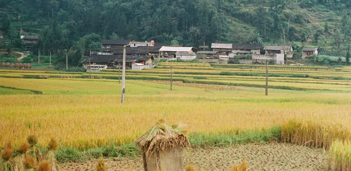 Review một Hà Giang thật bình yên và thơ mộng