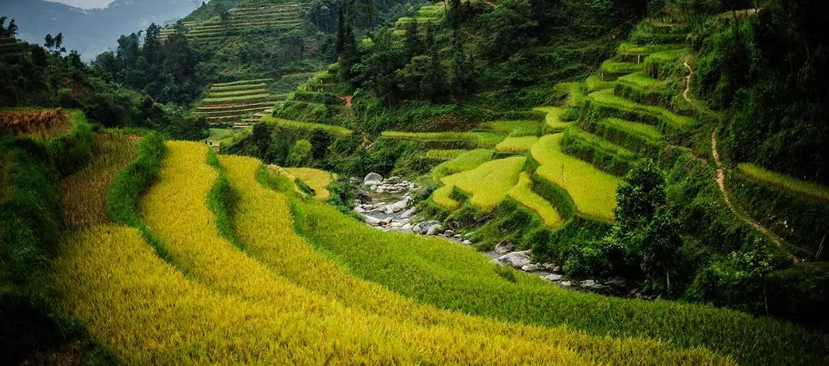 Bật mí cụ thể Lịch trình trekking Hoàng Su Phì 3N2Đ dành cho hội ‘ma mới’
