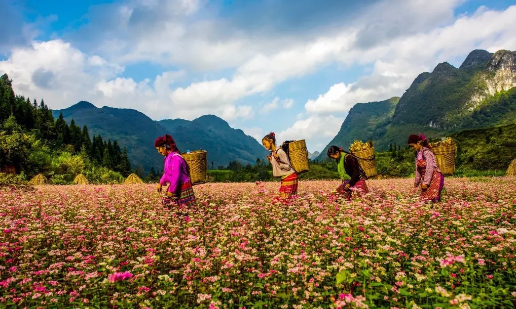 Bỏ túi lịch trình Hà Giang tự túc 2N1Đ giá rẻ cực chi tiết 2