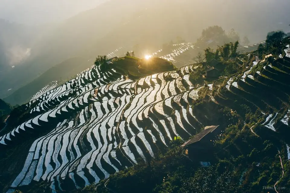 Chinh phục miền đất vỏ c&acirc;y v&agrave;ng với lịch tr&igrave;nh trekking Ho&agrave;ng Su Ph&igrave; tự t&uacute;c 3N2Đ 3