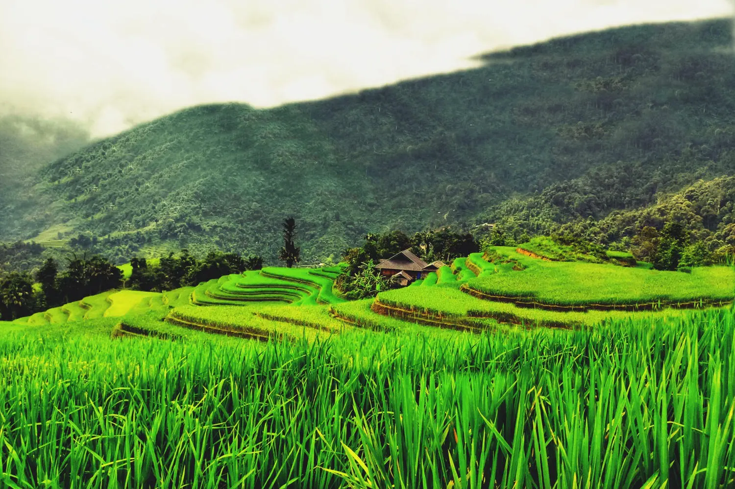 Gợi &yacute; lịch tr&igrave;nh phượt H&agrave; Giang tự t&uacute;c 3N2Đ 18