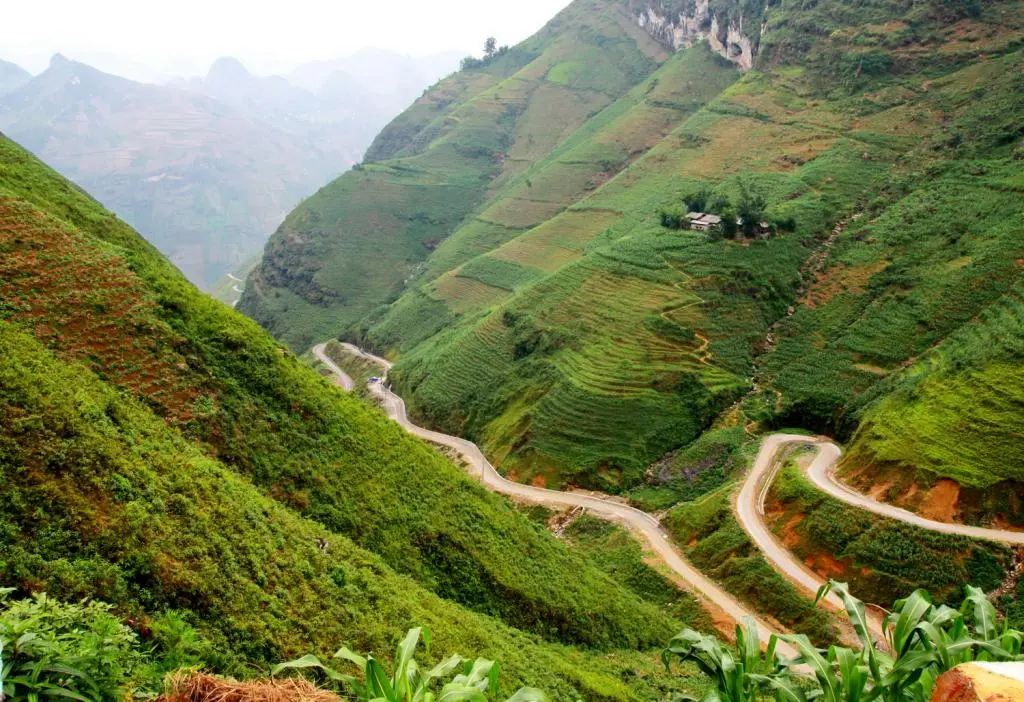 Kh&ocirc;ng thể rời mắt với lịch tr&igrave;nh kh&aacute;m ph&aacute; m&ugrave;a hoa tam gi&aacute;c mạch si&ecirc;u xịn 4