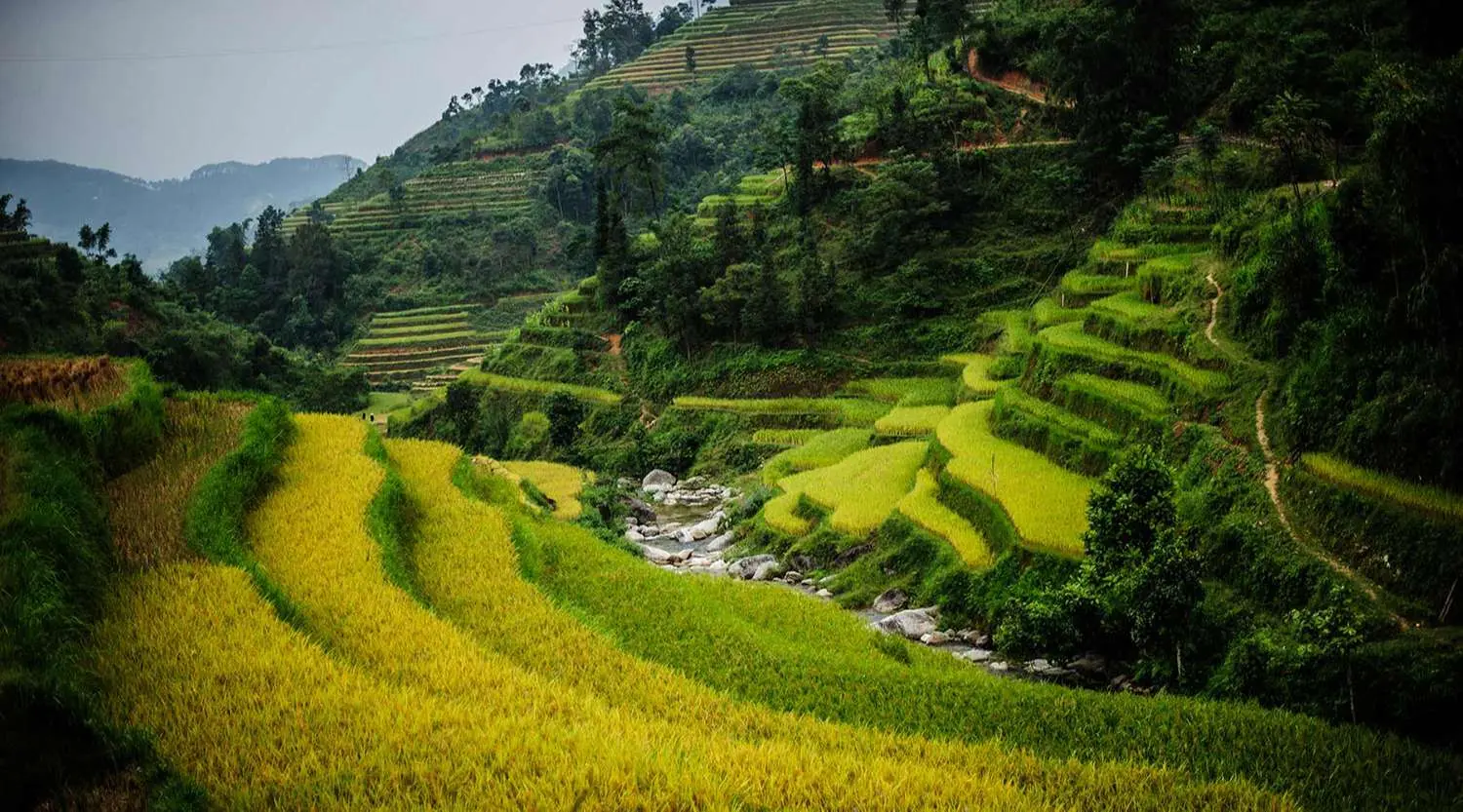 Lịch tr&igrave;nh chinh phục cao nguy&ecirc;n đ&aacute; Đồng Văn tự t&uacute;c 3N2Đ 3