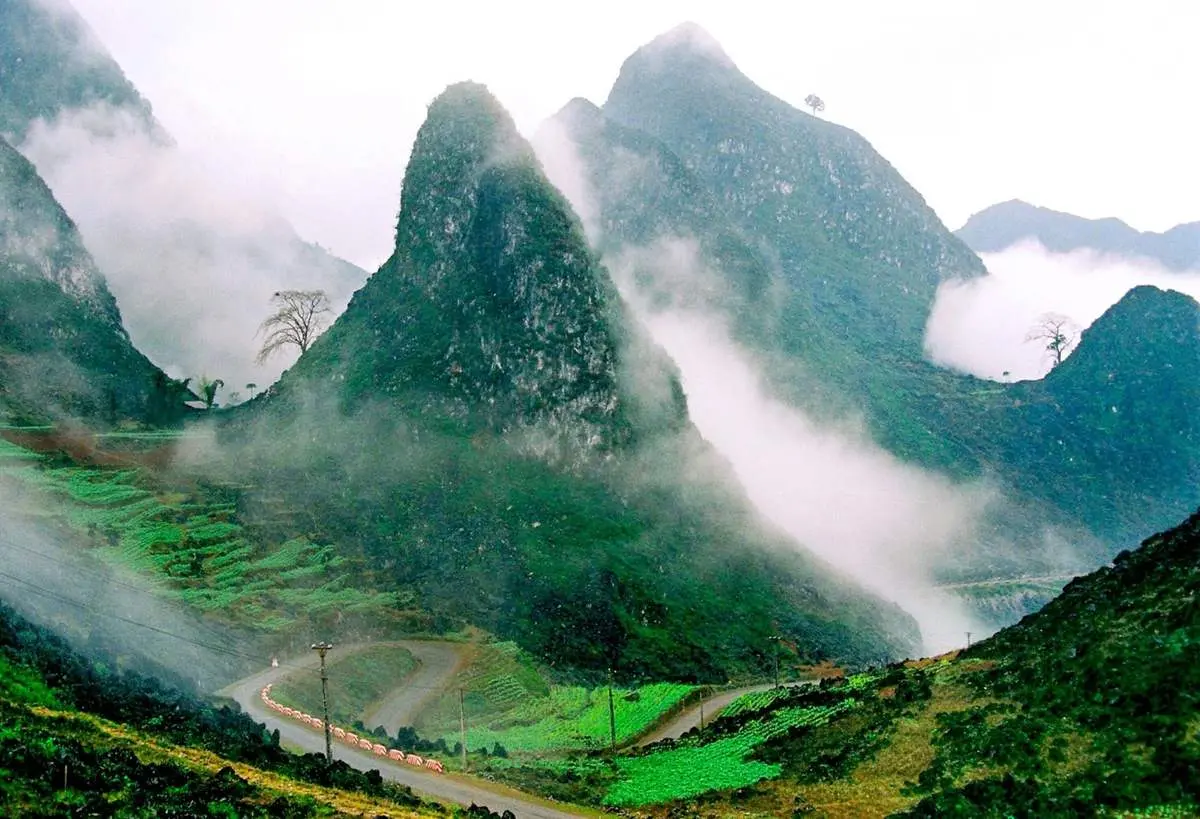 Lịch tr&igrave;nh H&agrave; Giang 5N4Đ tự t&uacute;c: Kh&aacute;m ph&aacute; Ho&agrave;ng Su Ph&igrave; 3