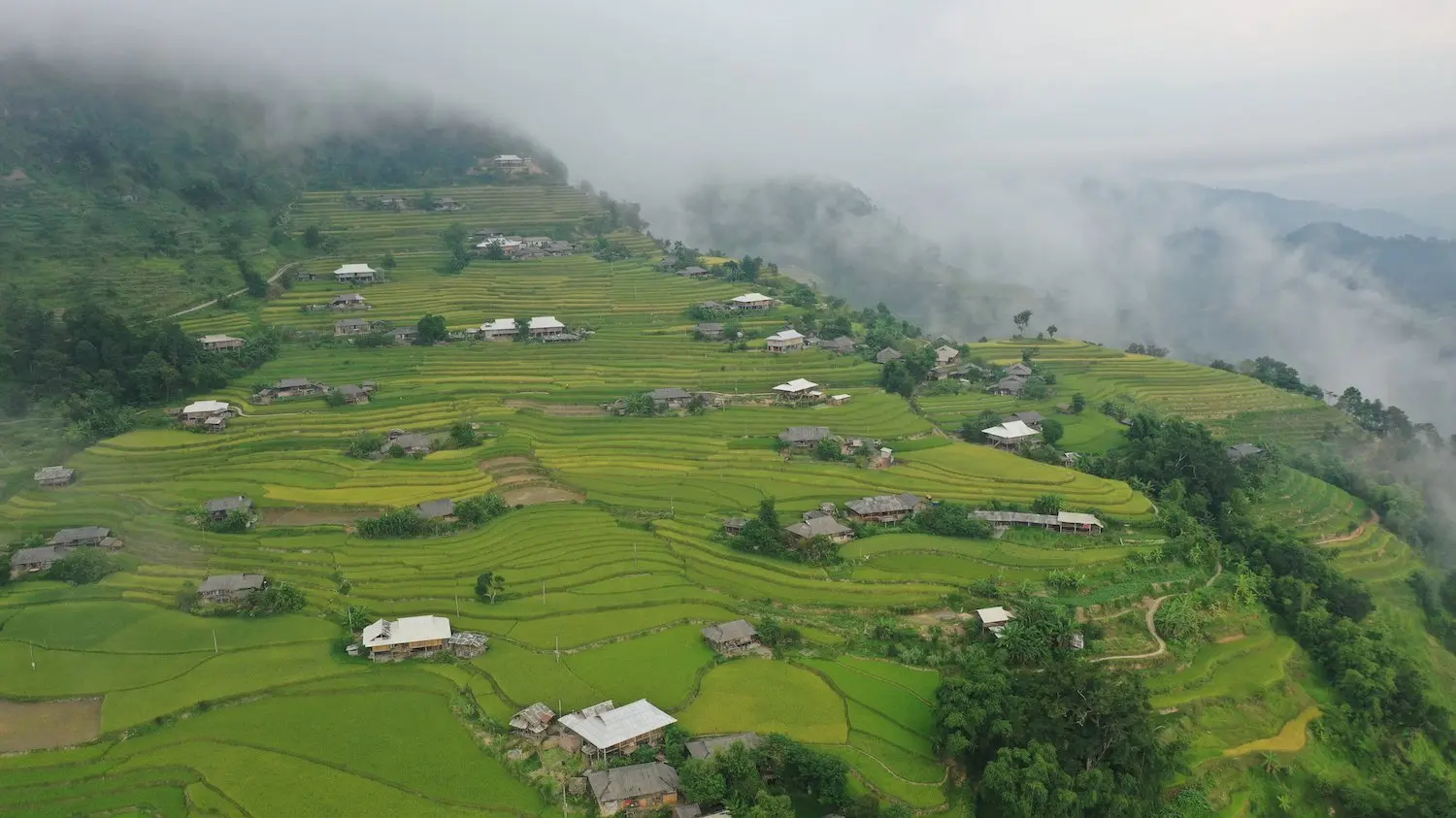 Lịch tr&igrave;nh H&agrave; Giang 5N4Đ tự t&uacute;c: Kh&aacute;m ph&aacute; Ho&agrave;ng Su Ph&igrave; 4