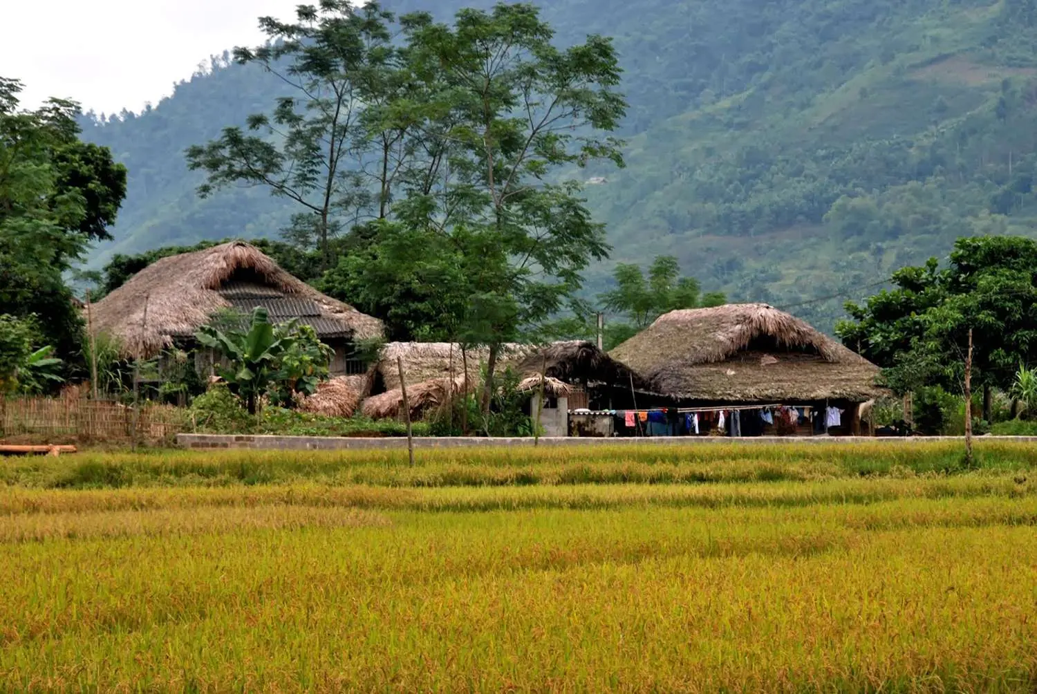 Lịch tr&igrave;nh H&agrave; Giang tự t&uacute;c 2N2Đ - Trekking kh&aacute;m ph&aacute; những nếp nh&agrave; bản l&agrave;ng trong sương kh&oacute;i 7