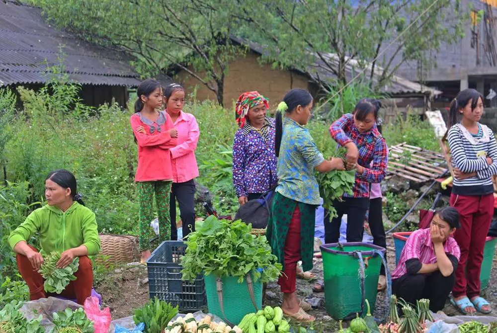 Lịch tr&igrave;nh H&agrave; Giang tự t&uacute;c 3N2Đ cực chi tiết từ H&agrave; Nội 11