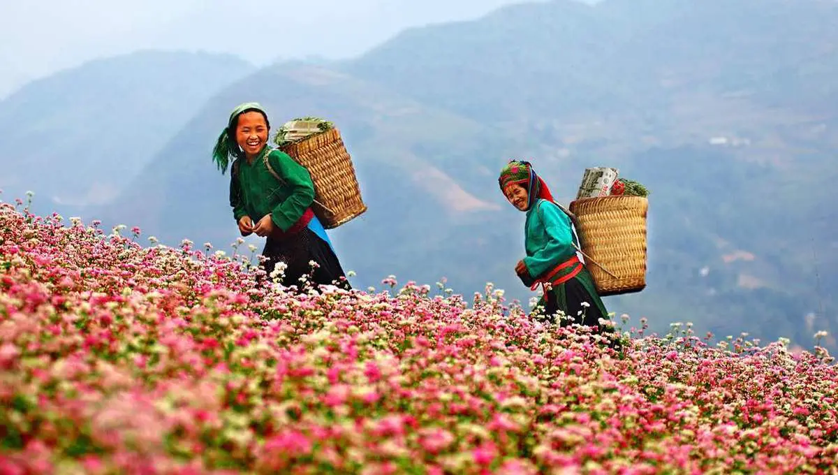 Lịch tr&igrave;nh H&agrave; Giang tự t&uacute;c 3N2Đ kh&aacute;m ph&aacute; mọi điểm đến hấp dẫn 10