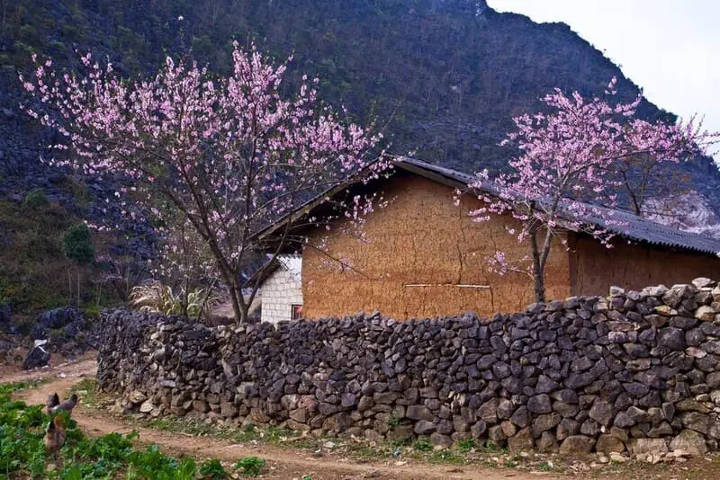 Lịch tr&igrave;nh kh&aacute;m ph&aacute; H&agrave; Giang 3N2Đ chi tiết cho ai đi lần đầu 6