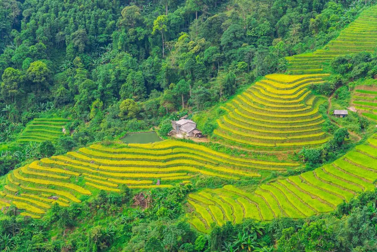 Lịch Tr&igrave;nh trekking v&agrave; trải nghiệm văn h&oacute;a bản địa Ho&agrave;ng Su Ph&igrave; 3