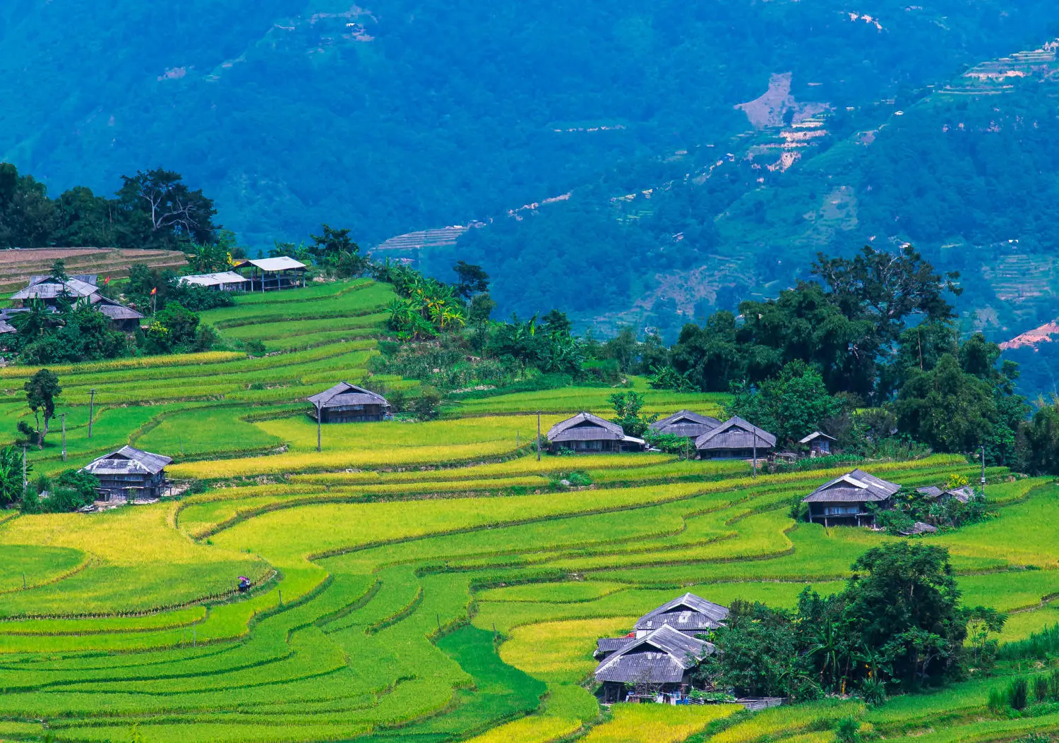 Lịch Tr&igrave;nh trekking v&agrave; trải nghiệm văn h&oacute;a bản địa Ho&agrave;ng Su Ph&igrave; 10