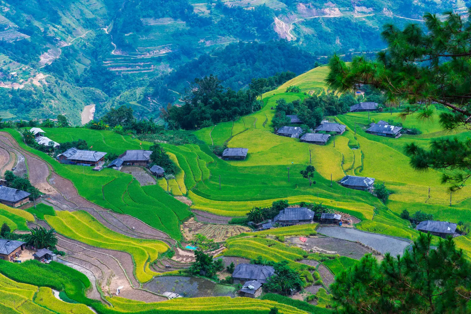 Lịch Tr&igrave;nh trekking v&agrave; trải nghiệm văn h&oacute;a bản địa Ho&agrave;ng Su Ph&igrave; 4