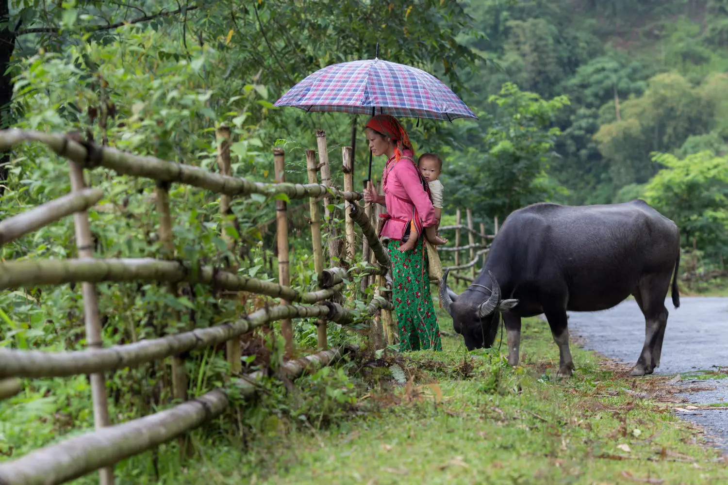 Lịch Tr&igrave;nh trekking v&agrave; trải nghiệm văn h&oacute;a bản địa Ho&agrave;ng Su Ph&igrave; 11