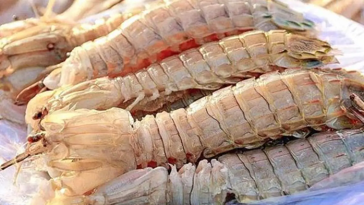 Bề bề Hạ Long v&agrave; những m&oacute;n ăn ngon kh&oacute; cưỡng 3