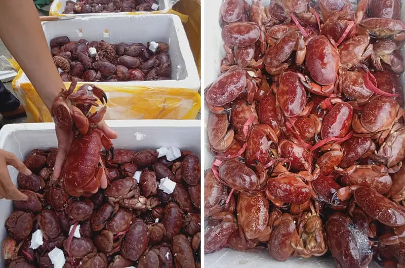 Đặc sản c&ugrave; kỳ, m&oacute;n ăn lạ nổi tiếng xứ than 3