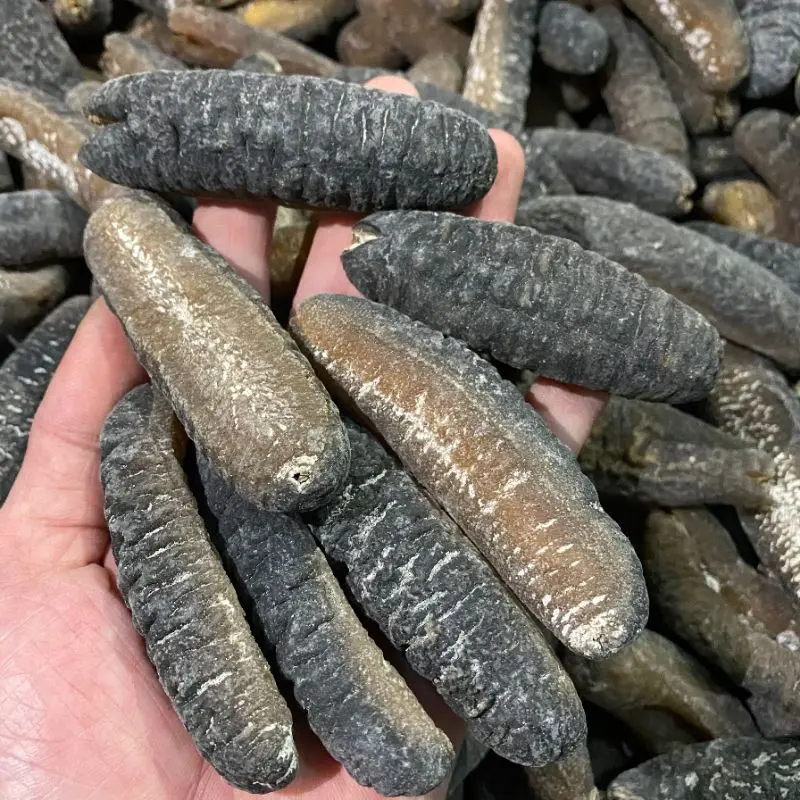 Hải S&acirc;m Hạ Long - M&oacute;n qu&agrave; qu&yacute; gi&aacute; đến từ v&ugrave;ng biển cả Vịnh Thi&ecirc;n Đường 5