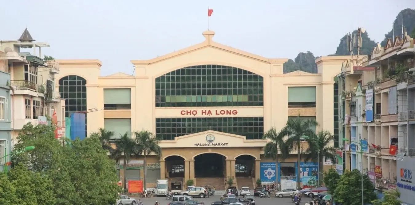 Hải S&acirc;m Hạ Long - M&oacute;n qu&agrave; qu&yacute; gi&aacute; đến từ v&ugrave;ng biển cả Vịnh Thi&ecirc;n Đường 7