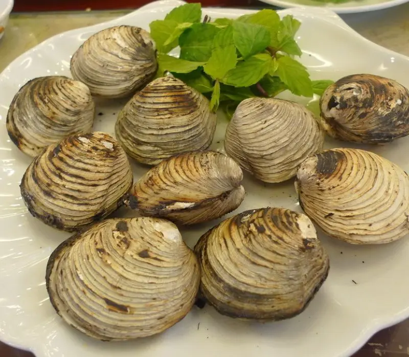 Hải sản Quảng Ninh, tinh hoa ẩm thực từ vùng biển gây thương nhớ 3