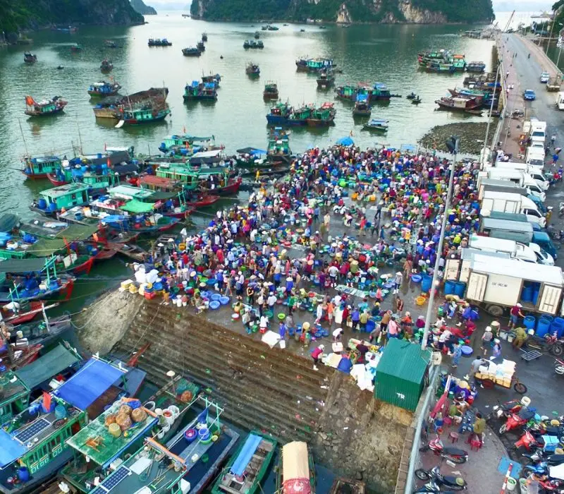 Hải sản Quảng Ninh, tinh hoa ẩm thực từ vùng biển gây thương nhớ 12