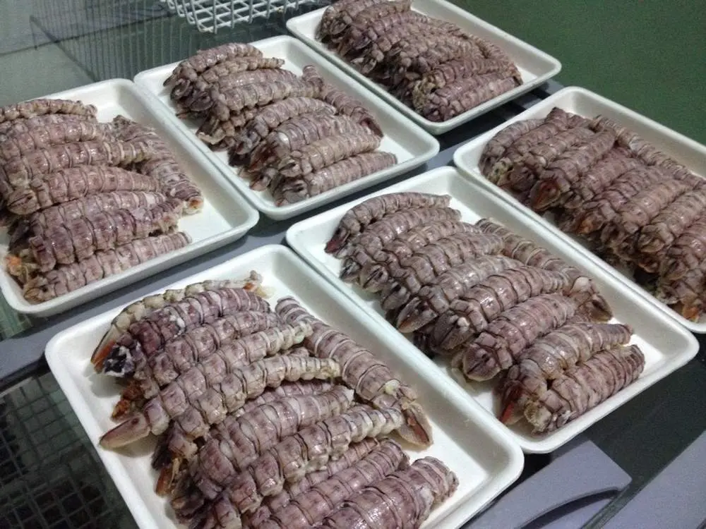 M&ecirc; mẩn hương vị b&uacute;n bề bề Hạ Long thơm ngon kh&oacute; cưỡng 3